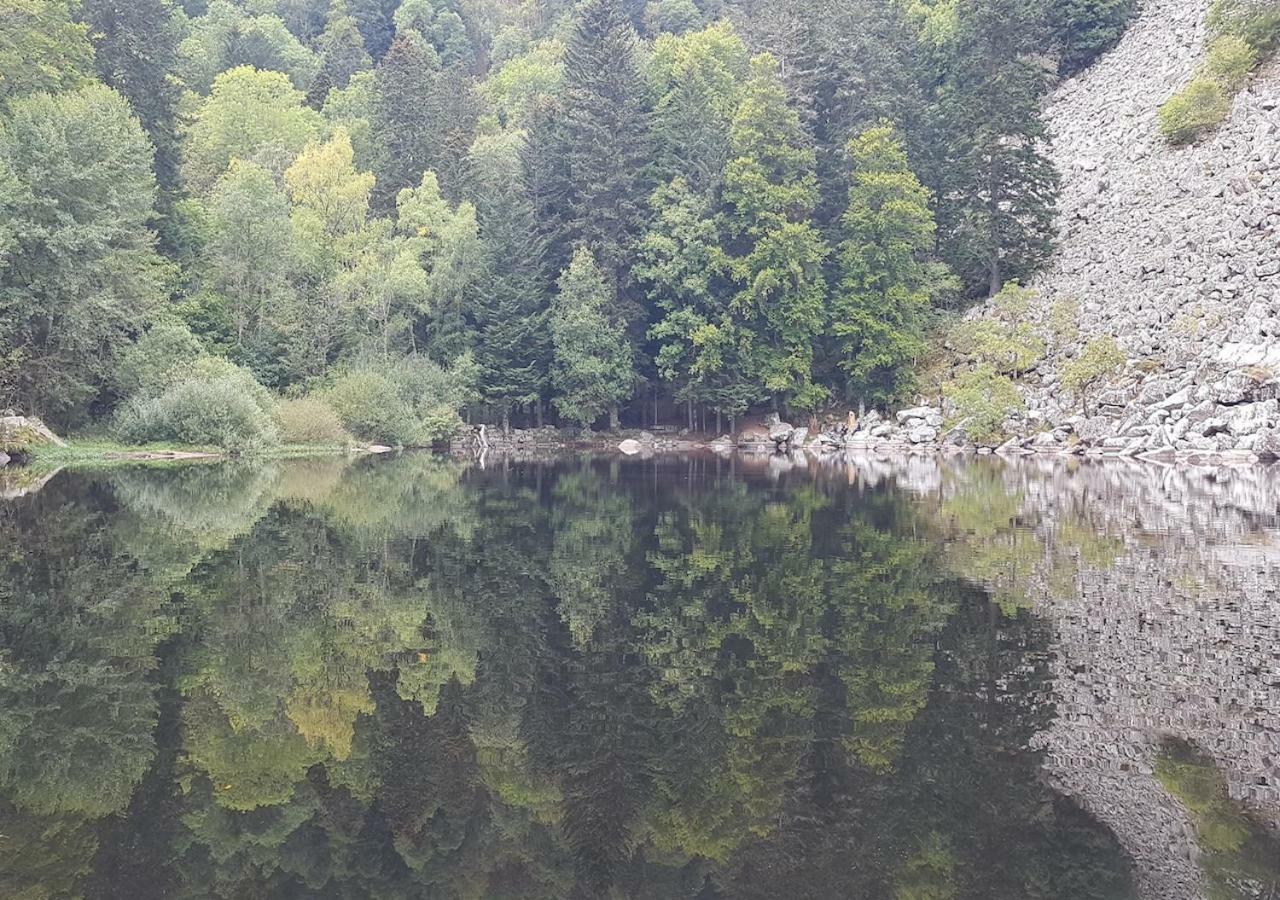 Naturezenkota Mittlach Dış mekan fotoğraf