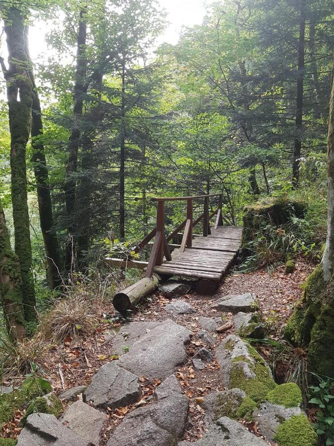 Naturezenkota Mittlach Dış mekan fotoğraf